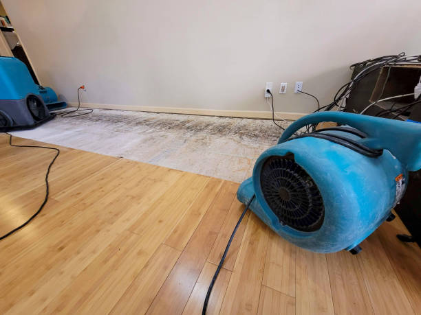 Professional Flood Damage Cleanup technician working in Pauline, SC